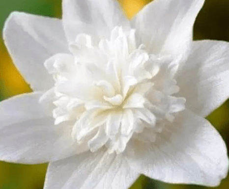 2021年最漂亮的微信昵称、心酸继续蔓